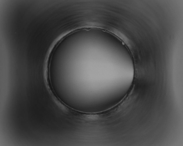 X0000100771136200806191236