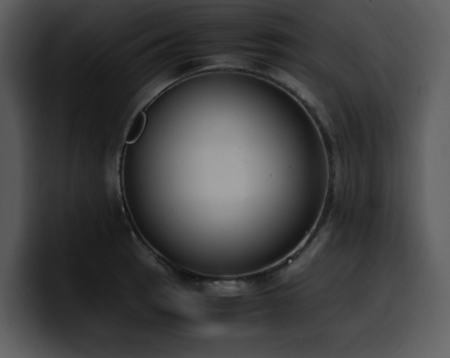 X0000100771137200806191236