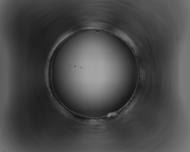 X0000100771138200806191236