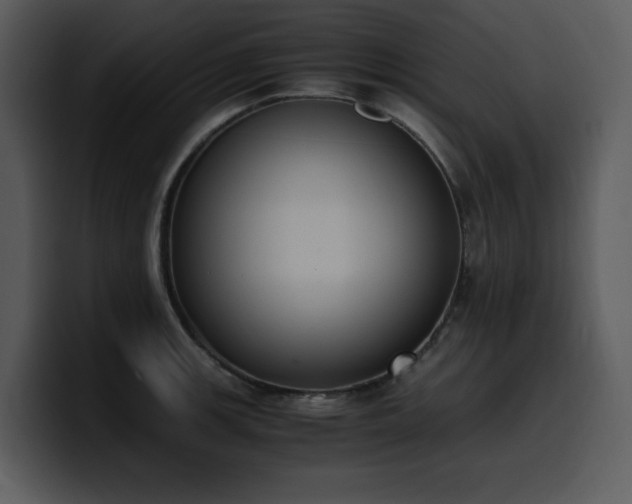 X0000100771139200806191236