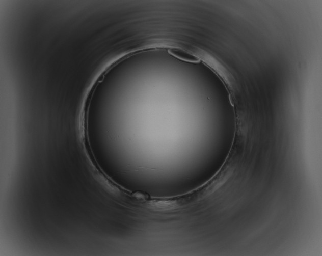 X0000100771140200806191236