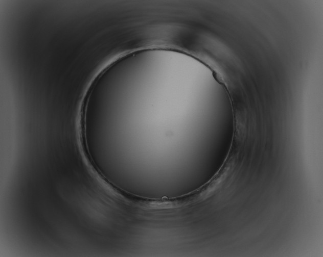 X0000100771142200806191236