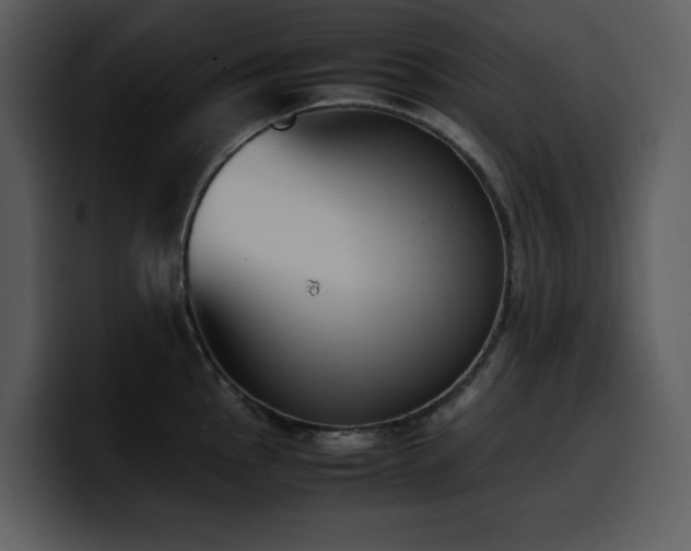 X0000100771145200806191236