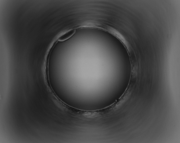 X0000100771146200806191236