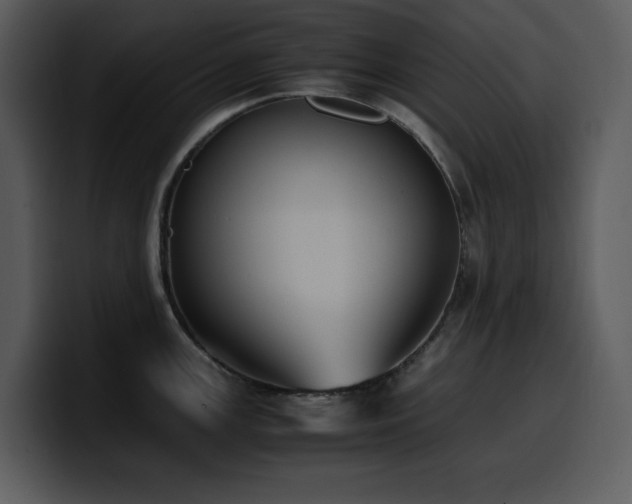 X0000100771147200806191236