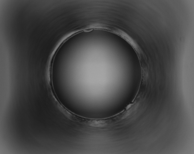 X0000100771148200806191236