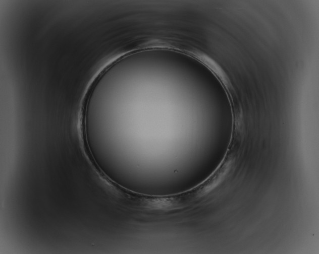 X0000100771149200806191236