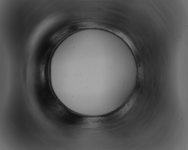 X0000100771150200806191236