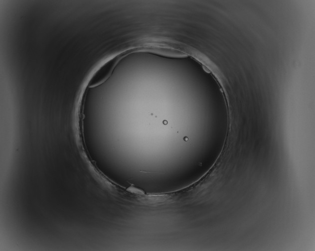 X0000100771152200806191236