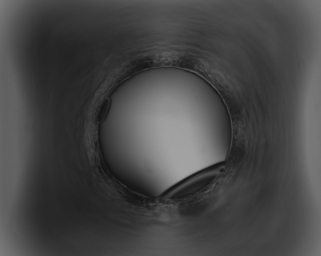 X0000100771153200806191235