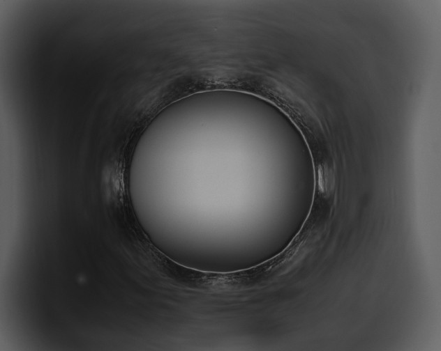 X0000100771155200806191235