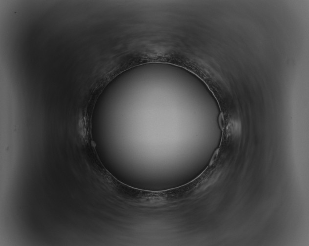 X0000100771156200806191235
