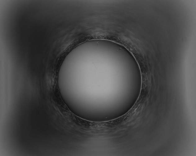 X0000100771157200806191235