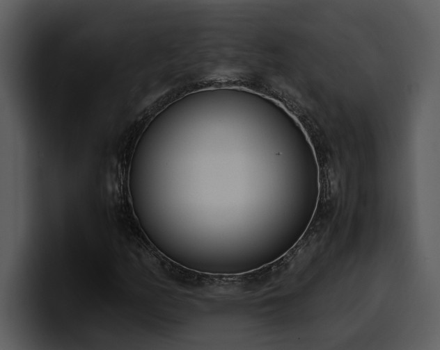 X0000100771158200806191235