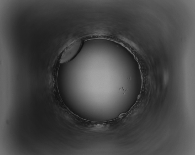 X0000100771160200806191235