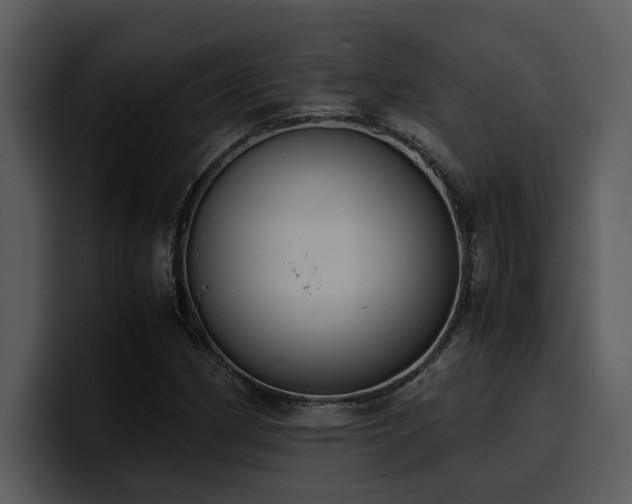 X0000100771162200806191235