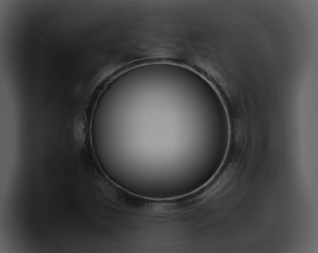 X0000100771163200806191235