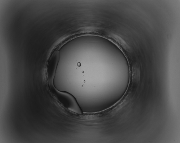 X0000100771164200806191235