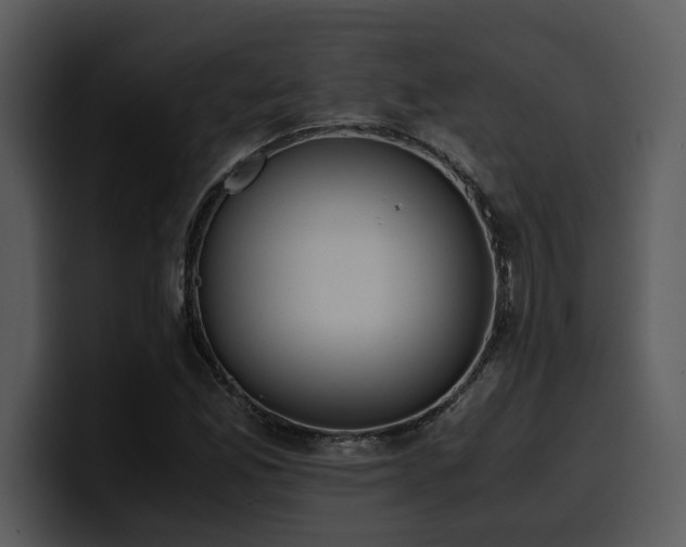 X0000100771165200806191235