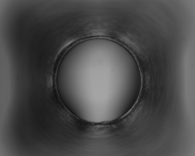 X0000100771166200806191235