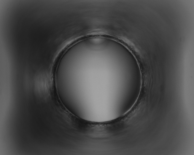 X0000100771167200806191235