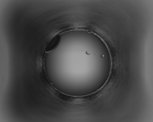 X0000100771169200806191235