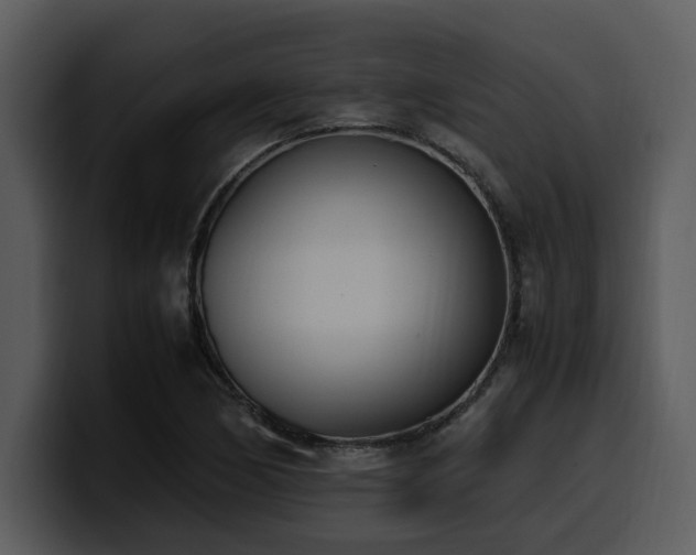 X0000100771170200806191235