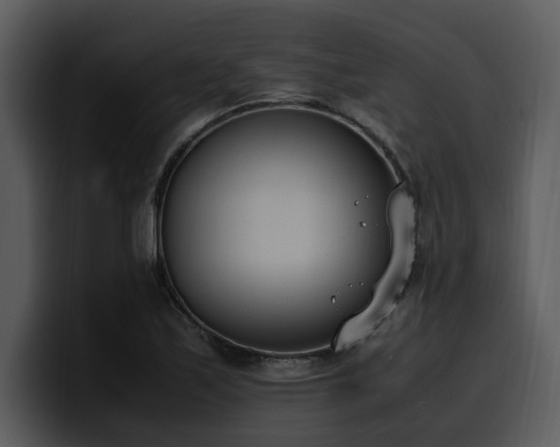 X0000100771171200806191235