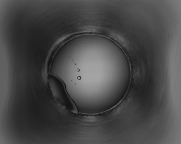 X0000100771172200806191235