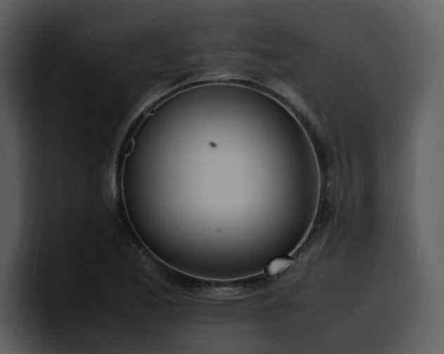 X0000100771173200806191235