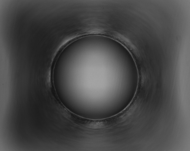 X0000100771174200806191235