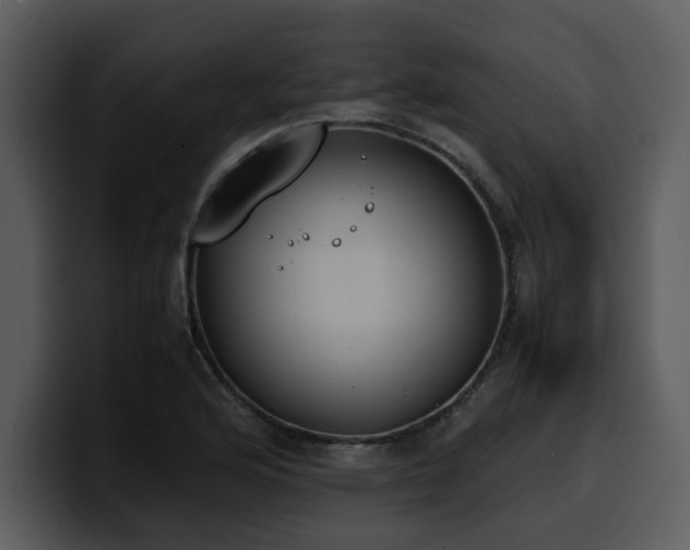 X0000100771176200806191235