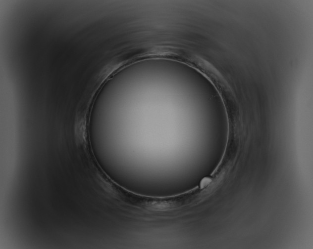 X0000100771177200806191235