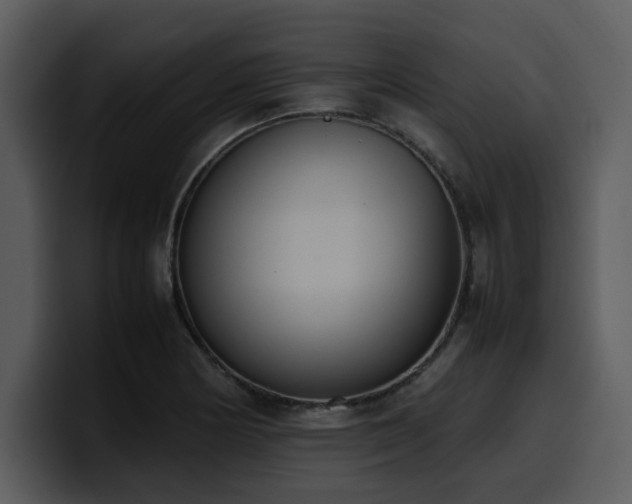 X0000100771178200806191235
