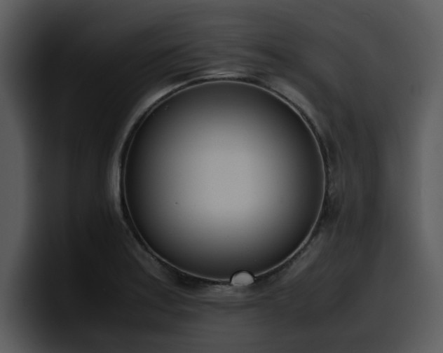 X0000100771179200806191235