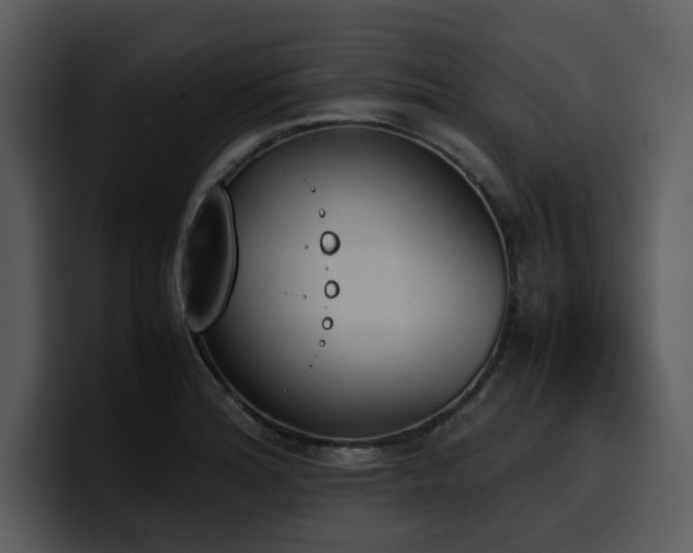 X0000100771180200806191235