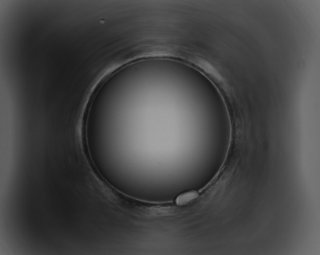 X0000100771181200806191235