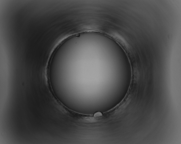 X0000100771182200806191235