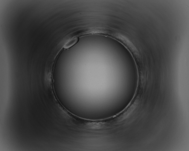 X0000100771185200806191235