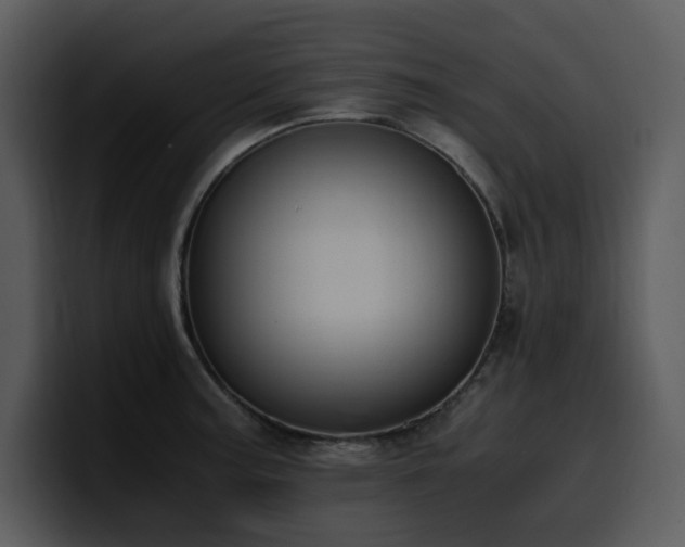 X0000100771187200806191235