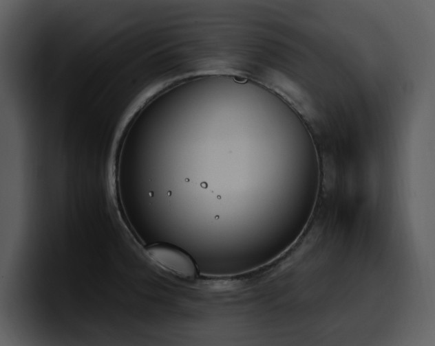 X0000100771188200806191235