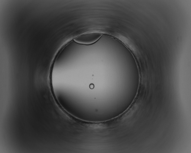 X0000100771189200806191235