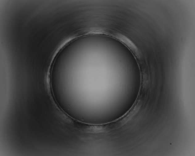 X0000100771190200806191235