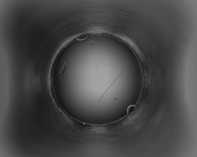 X0000100771191200806191235