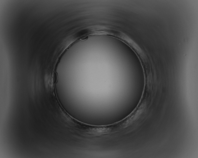 X0000100771193200806191235