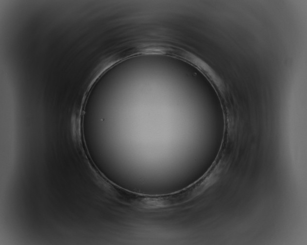 X0000100771194200806191235