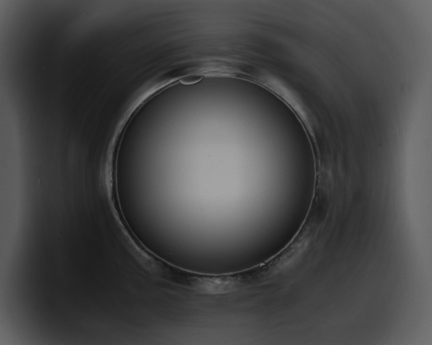 X0000100771195200806191235