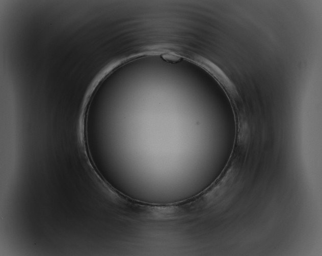 X0000100771196200806191235