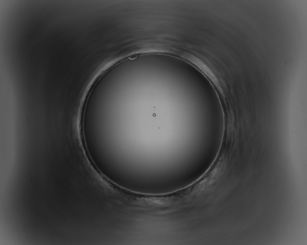 X0000100771197200806191235