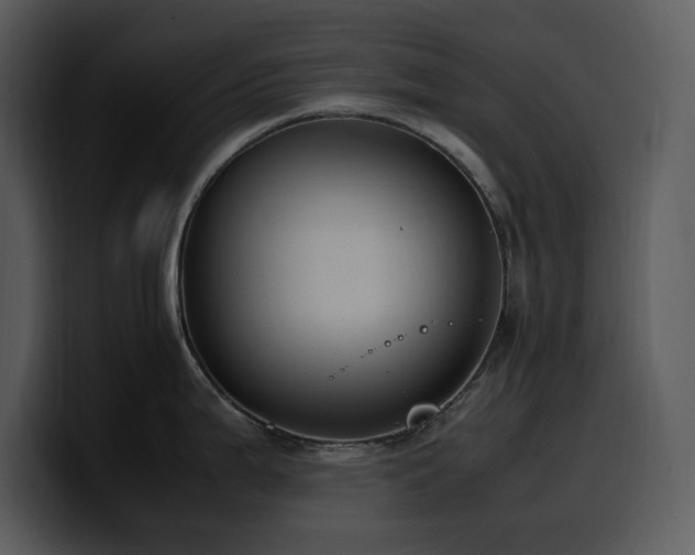 X0000100771199200806191235